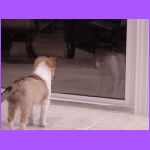 Why Won't You Play.jpg